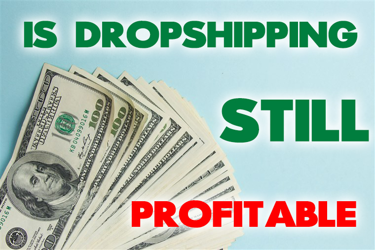 is-dropshipping-still-profitable